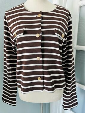 Ann Taylor Factory Women's Brown Striped Crewneck Sweater
